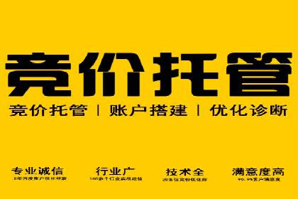 百度竞价推广的优化策略：一家科技公司的成功经验